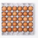 남도축산 이미지