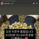 슈가솔솔
