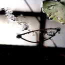 소중한이 이미지