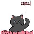 막구 이미지