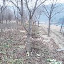 행복한전원공인중개사사무소 이미지