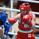 복싱 이미지