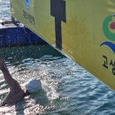 스위밍고 이미지