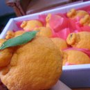 솔티농장 이미지