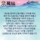 콩깍지 이미지