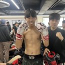 링 종합격투기 이미지