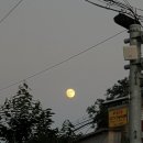 미미초밥 이미지