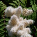 동산농원 이미지