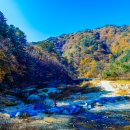 효가사거리 버스정류장 이미지