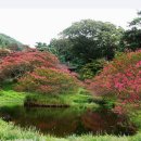 선비가든 이미지