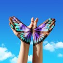 과천중앙고등학교 이미지