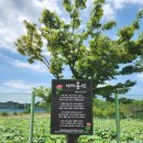 함안박물관 이미지