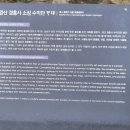심광사 목조석가모니불좌상 | 경산 경흥사(보물 목조석가여래삼존좌상)