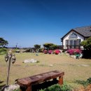 보헤미안 블루 이미지