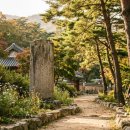창녕관광안내소 | 입장료 0원인데 아이가 반한다…창녕 인양사 조성비