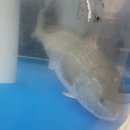 빈스민박 이미지