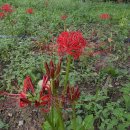 보경사 주차장3 화장실 이미지