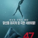 47 이미지