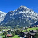 아이거 | 스위스여행, 융프라우에서 그린델발트 가는 법과 후기(아이거글레처 곤돌라)