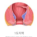 서울항외과 이미지