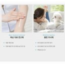 셀덤바이오