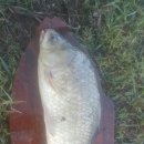 항포낚시터 이미지