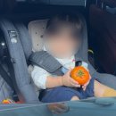 소로3-안영17호선 | [11월] 겨울 오지마, 붙잡고 싶은 가을 일상 모음 1탄🍂🍁