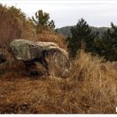 좌산농장 네이버블로그