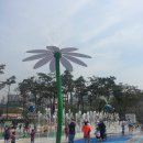 부산시민공원내물놀이공원 이미지