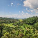 별헤는 몰랑 이미지