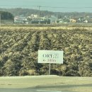 불은면-11 | 자연 속 힐링 ‘오르트운 강화 풀빌라’ 솔직 후기