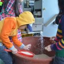 용택농장 이미지