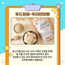 해니칩 네이버블로그