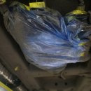 오토라인 이미지