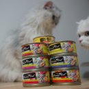 퍼시캣 프리미엄 캔 후기! 저지방 그레인프리에요