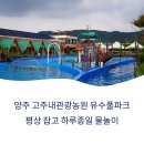 미니스톱 양주유수풀점 | 양주 고주내관광농원 유수풀파크 완전 정복! 평상 잡고 하루종일 물놀이