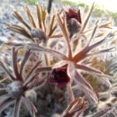 팡팡펜션 이미지