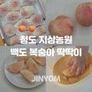 농원 - 강서구 오정로 395 | 백도 복숭아 딱딱이 4kg 청도 복숭아 파는곳 지상농원 후기