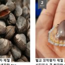 벌교택배 이미지