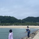 그집펜션 | 경북 울진 가족펜션 북면 바닷가 독채펜션 ‘바닷가 그집’ 후기