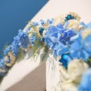 라인뷰티 네이버블로그