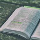 고양이집사 이미지