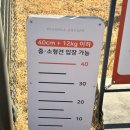 몽글 몽글 | 겨울 실내 서울 근교 애견카페 남양주 몽글브라운 방문후기