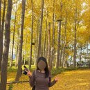 영종도 여행 단풍 명소 아이랑 가볼만한곳 씨사이드파크 영종진공원