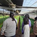 버드내팜 이미지