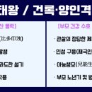 양인/건록격 자식을 낳은 것과 부모의 비겁운 출산의 비교와 유사점 이미지