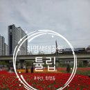 화명생태공원(화명운동장 내) | [부산] 튤립명소, 화명생태공원 플라워가든 '튤립' 꽃 보러오세요(위치, 주차) 2026.04.12