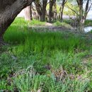 우포늪주차장 이미지