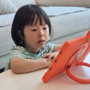 4살 아이 책 추천 어떻게 할까? 관심사를 독서로 확장한 북클럽 북큐레이션 후기