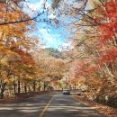 (주)문인 | 경남 합천 여행 추천 팔만대장경 가야산 해인사 방문 후기